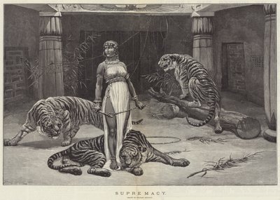Suprématie - Stanley Berkeley